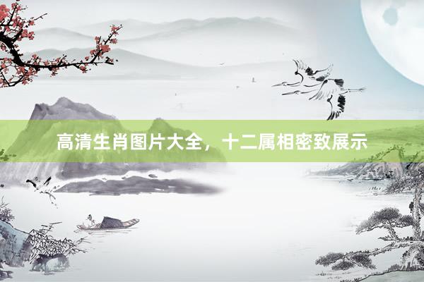 高清生肖图片大全，十二属相密致展示
